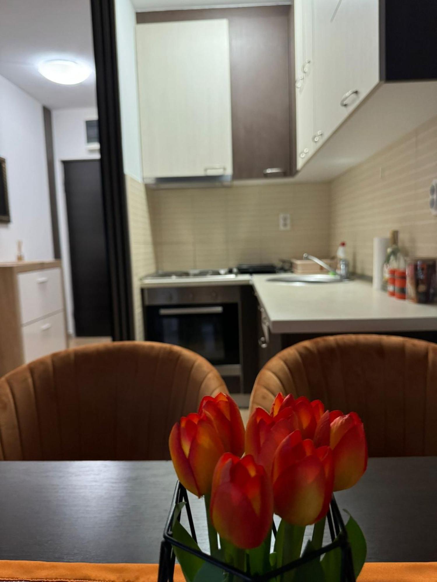 Stan Na Dan Aurora Appartement Požarevac Buitenkant foto
