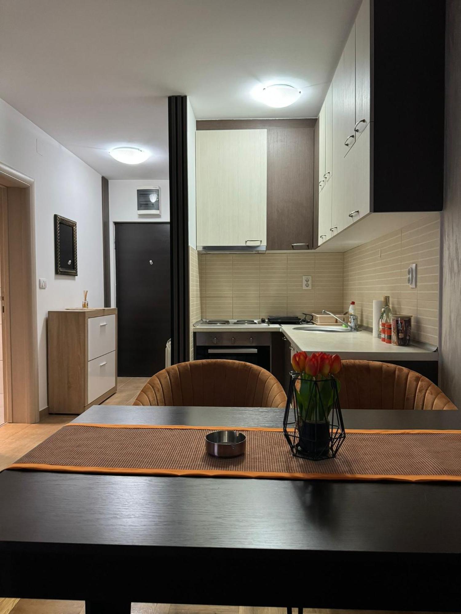 Stan Na Dan Aurora Appartement Požarevac Buitenkant foto