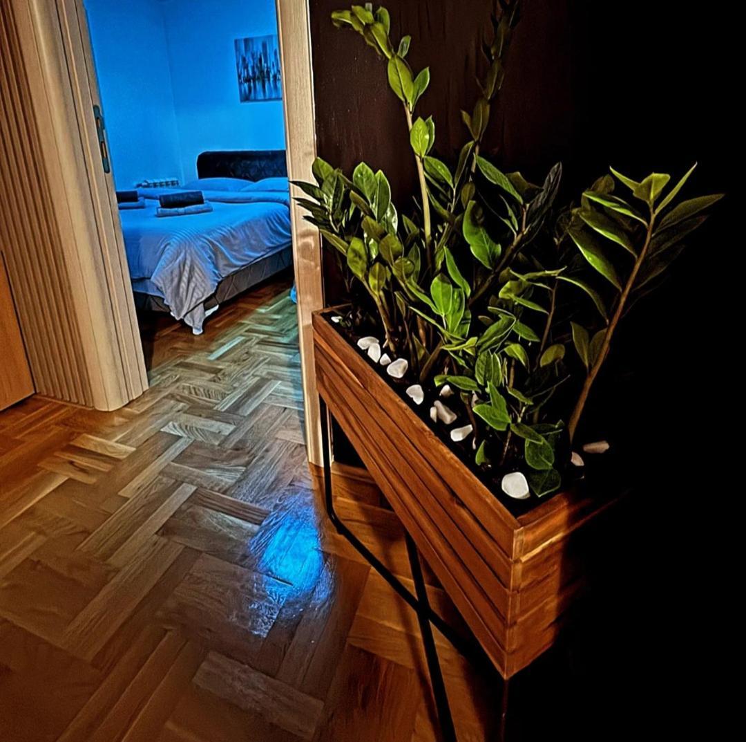 Stan Na Dan Aurora Appartement Požarevac Buitenkant foto