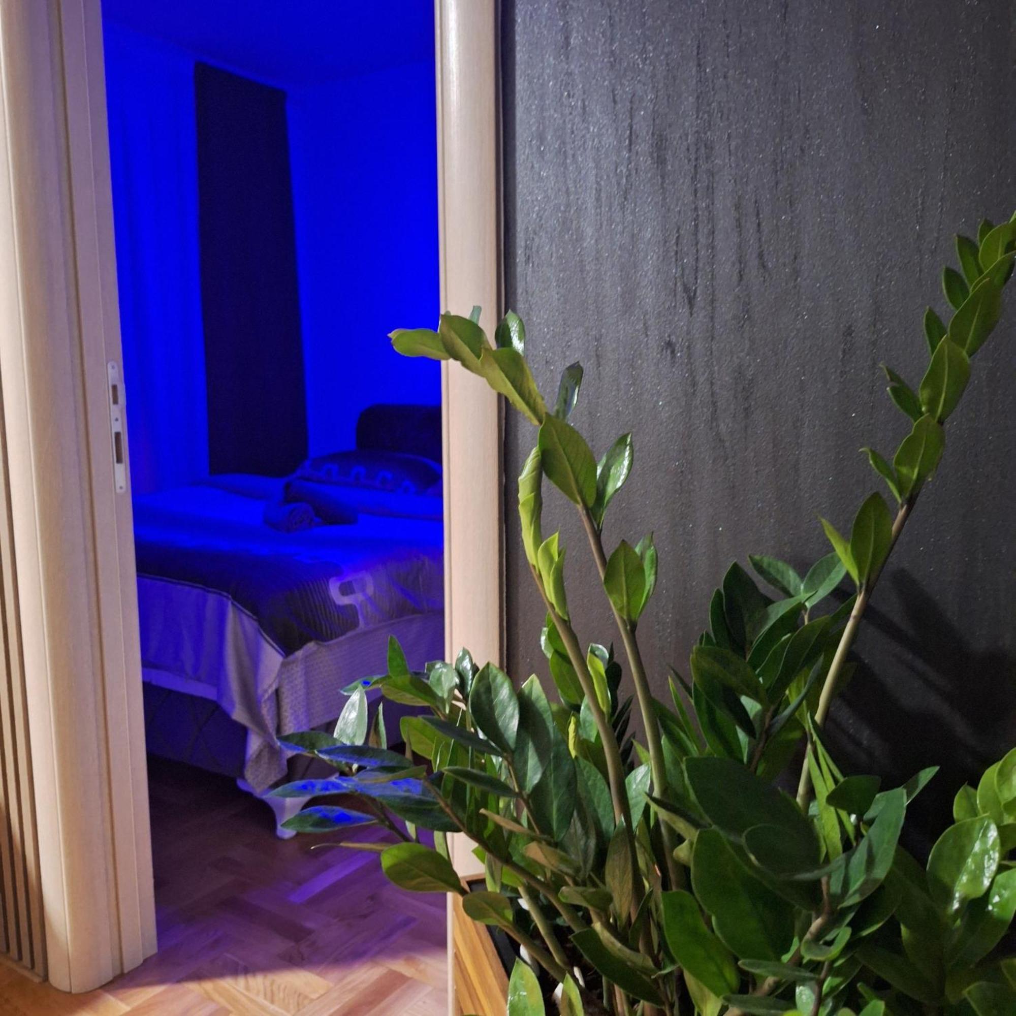 Stan Na Dan Aurora Appartement Požarevac Buitenkant foto