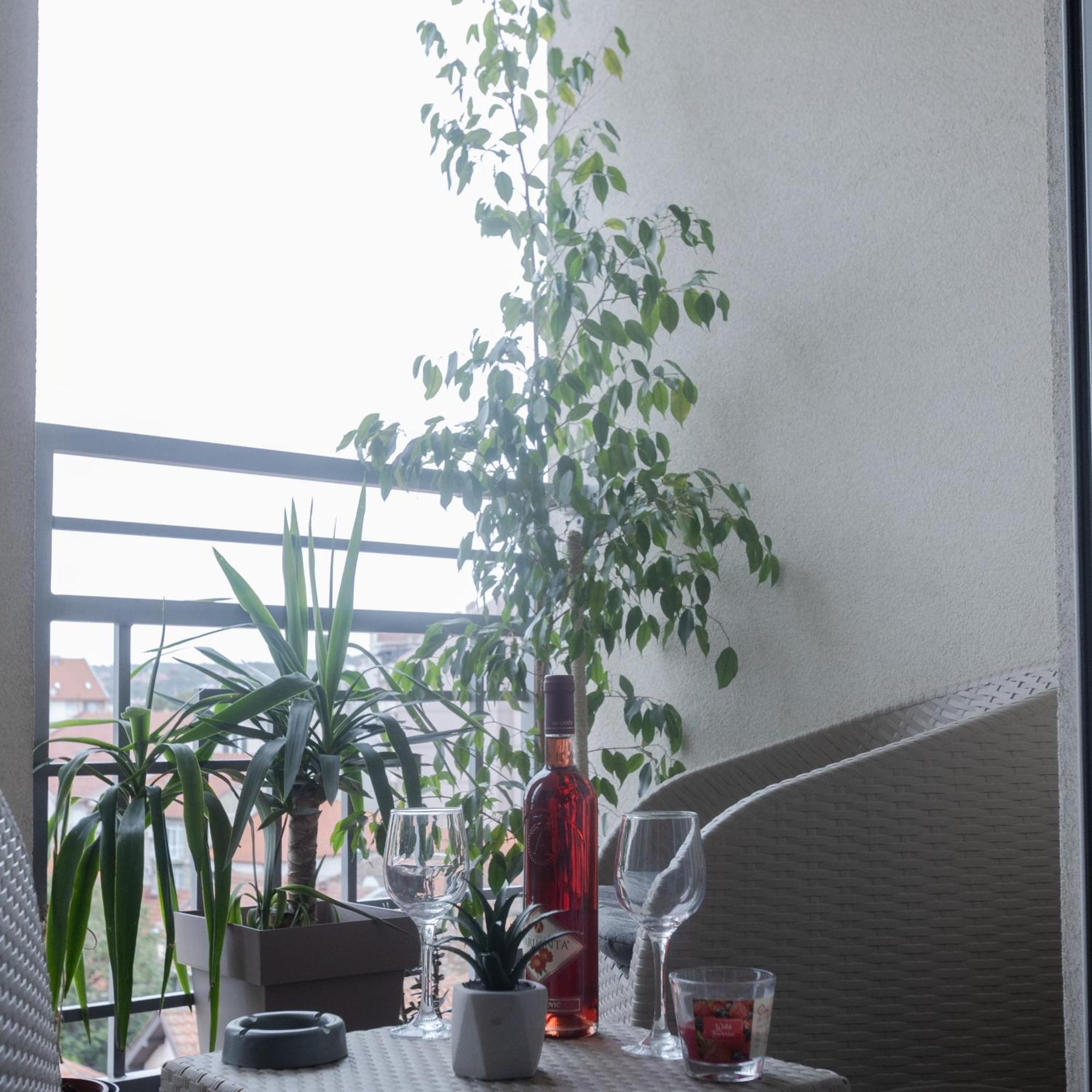 Stan Na Dan Aurora Appartement Požarevac Buitenkant foto